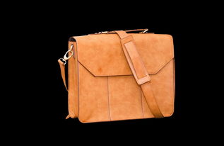 从公文包到丁字裤 皮革制品的时尚演变与多元表达